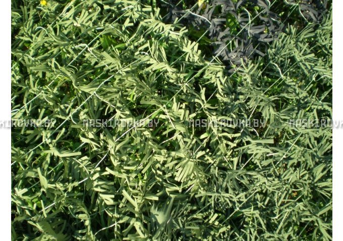 Маскировочная сеть МКТ-3Л 1,5х3 м Ель – купить по цене 128 byn в интернет-магазине в городе Новополоцк картинка 8