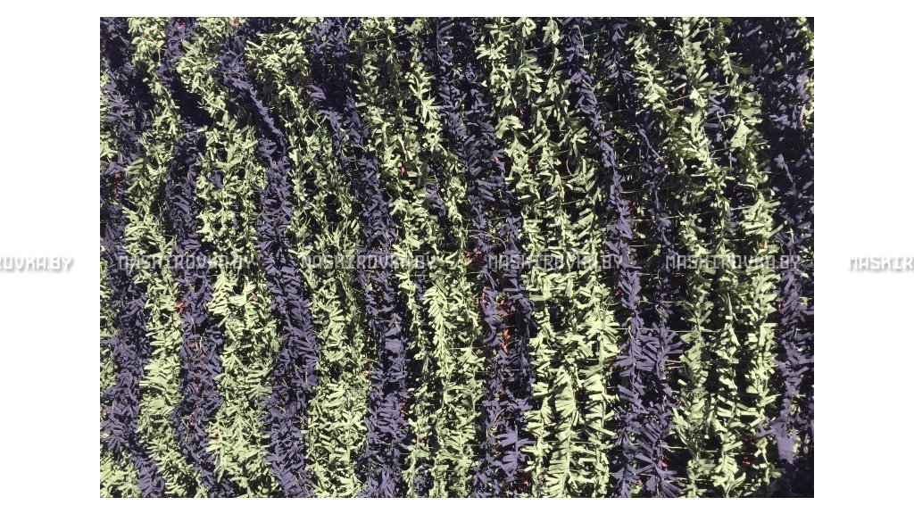 Маскировочная сеть Зеленя 2х3 м (зелено-черная) – купить по цене 159 byn в интернет-магазине в городе Новополоцк картинка 10